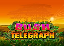 Bush Telegraph Slot Online