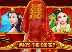 Whos The Bride Slot Online