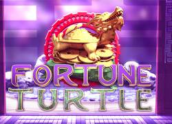 Fortune Turtle Slot Online