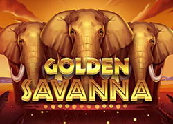 Golden Savanna Slot Online