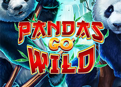 Pandas Go Wild Slot Online