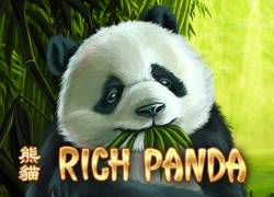 Rich Panda Slot Online