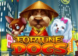 Fortune Dogs Slot Online