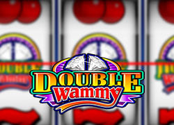 Double Wammy Slot Online