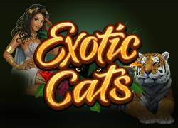 Exotic Cats Slot Online