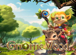 Gnome Wood Slot Online