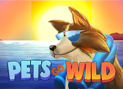 Pets Go Wild Slot Online