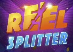 Reel Splitter Slot Online