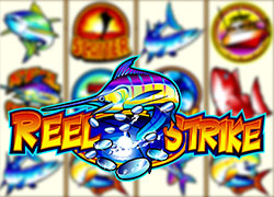 Reel Strike Slot Online