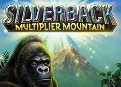 Silverback Multiplier Mountain Slot Online