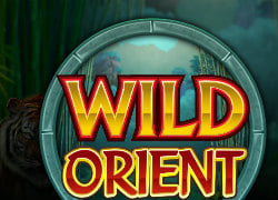 Wild Orient Slot Online