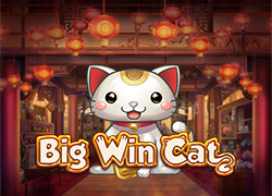Big Win Cat Slot Online