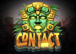 Contact Slot Online
