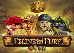 Feline Fury Slot Online