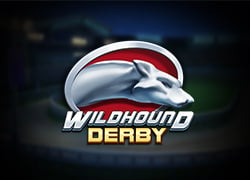 Wildhound Derby Slot Online