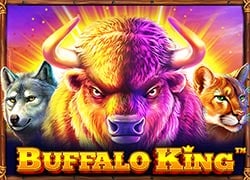 Buffalo King P Slot Online