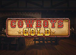 Cowboys Gold P Slot Online
