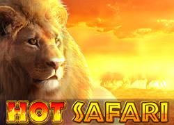 Hot Safari P Slot Online