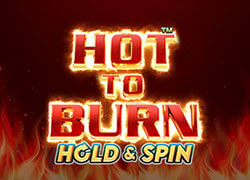 Hot To Burn Hold And Spin P Slot Online