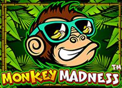 Monkey Madness P Slot Online