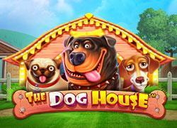 The Dog House P Slot Online