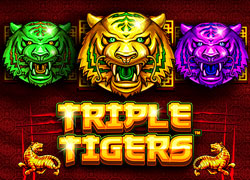 Triple Tigers P Slot Online