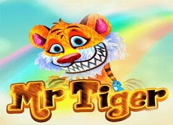 Mr Tiger Slot Online