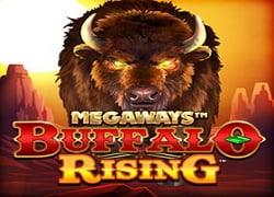 Buffalo Rising Megaways Slot Online