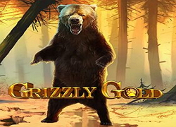 Grizzly Gold Slot Online