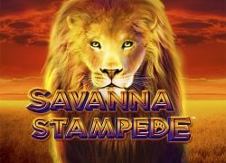 Savanna Stampede Slot Online