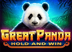 Great Panda Hold And Win Slot Online