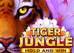 Tiger Jungle Hold And Win Slot Online