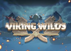Viking Wilds Slot Online