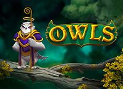 Owls Slot Online