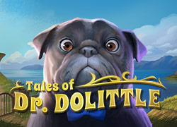 Tales Of Dr Dolittle Slot Online