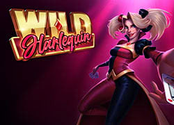 Wild Harlequin Slot Online