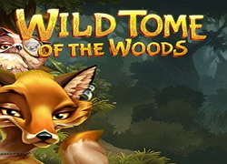 Wild Tome Of The Woods Slot Online