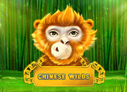 Chinese Wilds Slot Online