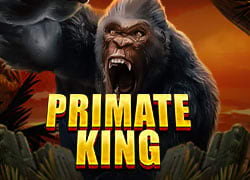 Primate King Slot Online