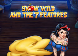 Snow Wild And The 7 Features Slot Online