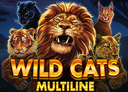 Wild Cats Multiline Slot Online