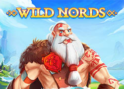 Wild Nords Slot Online
