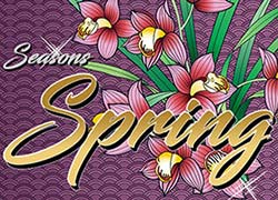 Seasons Spring Slot Online
