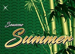Seasons Summer Slot Online
