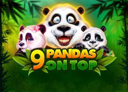 9 Pandas On Top Slot Online
