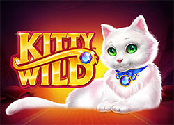 Kitty Wild Slot Online