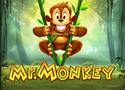 Mr Monkey Slot Online