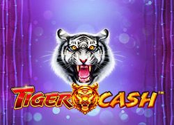 Tiger Cash Slot Online