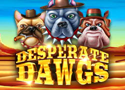 Desperate Dawgs Slot Online