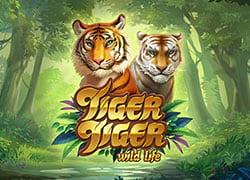 Tiger Tiger Slot Online
